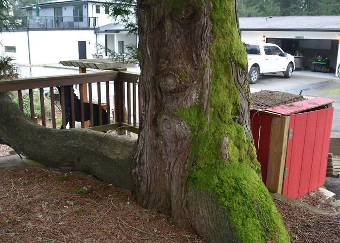 House On 5 Acres With Farm Animals In Bothell, Close To Seattle Bellevue Kirkland Woodinville