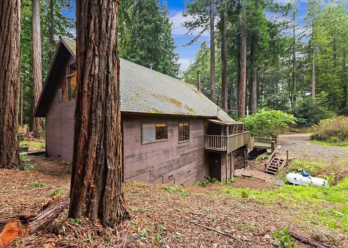 Redwood Retreat In Gualala