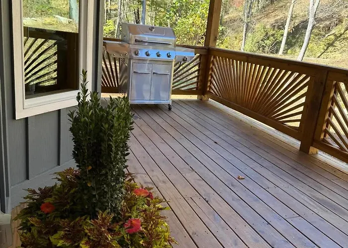 Mountain Cabin & Creek-Front Nature Retreat Nc