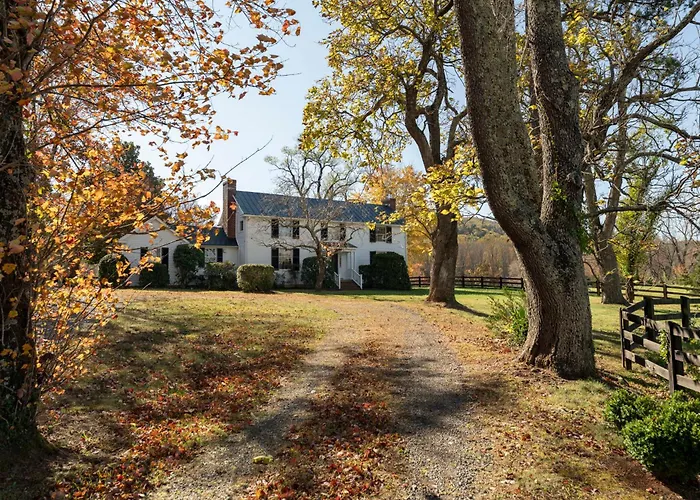 Farlea: Classic Country Charm Minutes From Uva