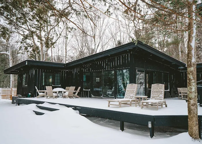 Treetops Of Lake Michigan Beach Front And Spa Family Home