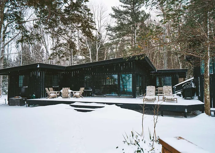 Treetops Of Lake Michigan Beach Front And Spa Family Home