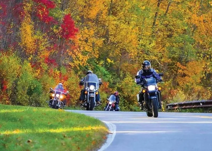 Biker-Friendly Cabin, Pets Welcome, Near River