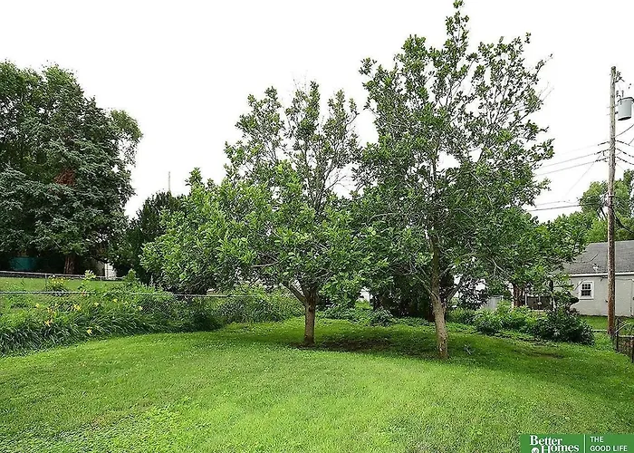Hickory Haven - Heart Of Omaha
