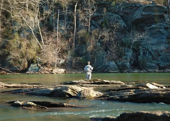 Tellico Nature Cabin - Close To Skyway & Rivers