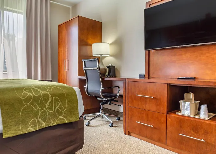 Comfort Suites Dover University Area