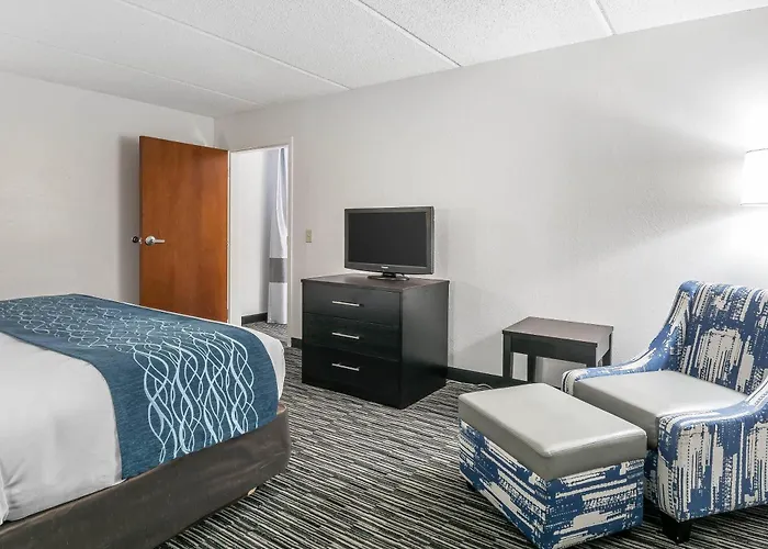 Comfort Inn Gainesville - University Area