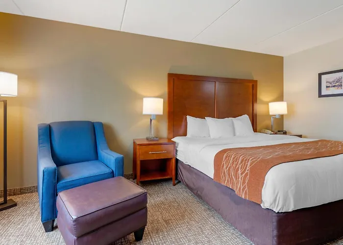 Comfort Inn & Suites Wilkes Barre - Arena