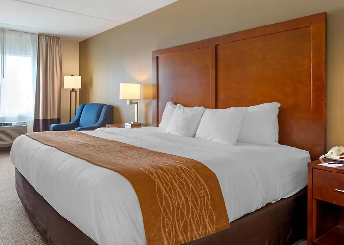 Comfort Inn & Suites Wilkes Barre - Arena