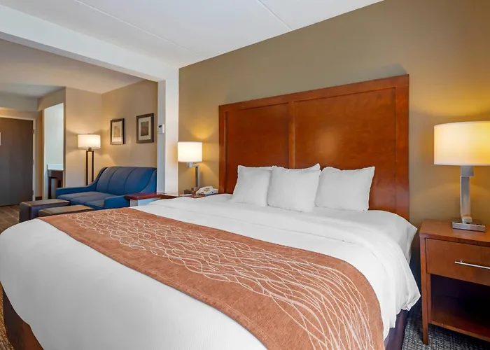 Comfort Inn & Suites Wilkes Barre - Arena