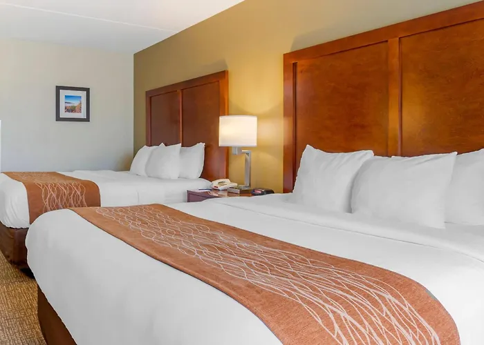 Comfort Inn & Suites Wilkes Barre - Arena