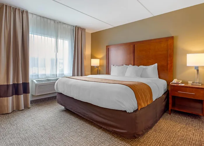 Comfort Inn & Suites Wilkes Barre - Arena