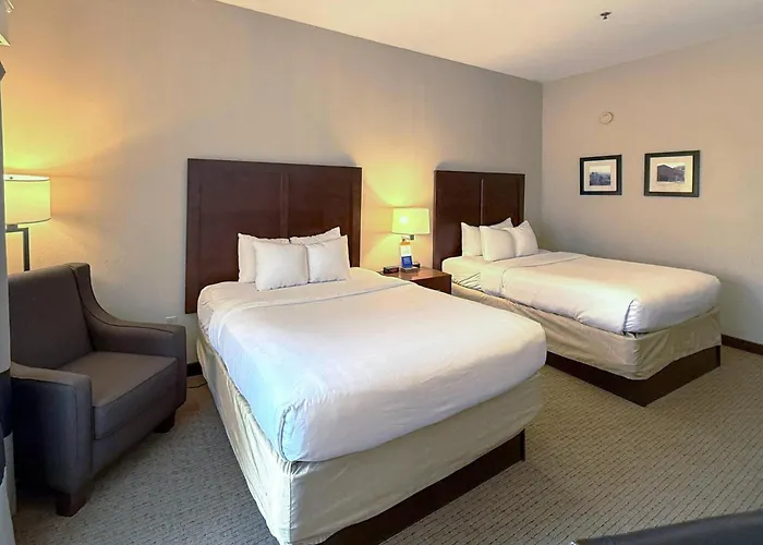 Comfort Inn & Suites Rogersville