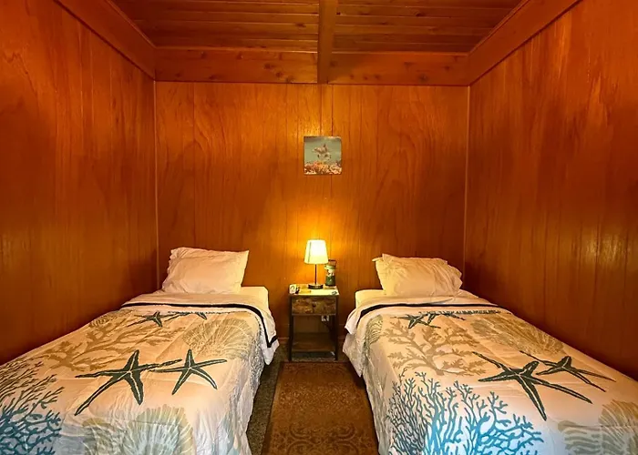 Curley'S Resort & Dive Center
