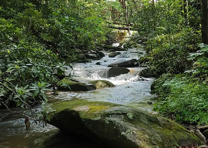 Falling Waters At Rumbling Bald