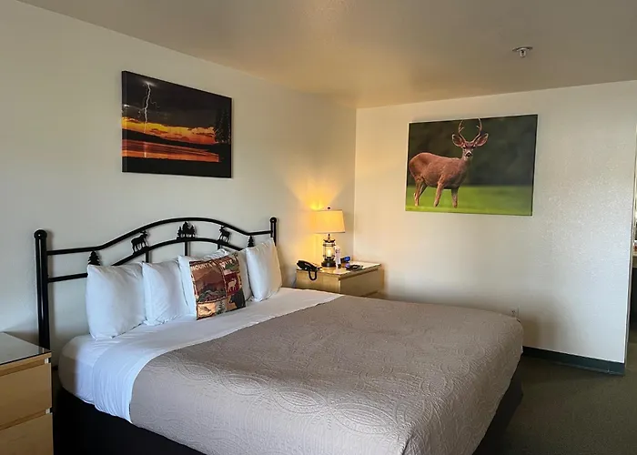 Antlers Inn