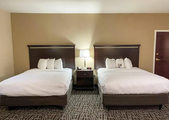 Comfort Suites Kings Bay Naval Base Area