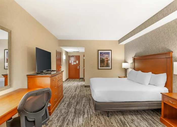 Drury Plaza Hotel St Louis Brentwood