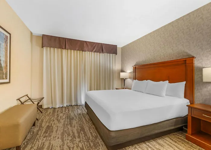 Drury Plaza Hotel St Louis Brentwood