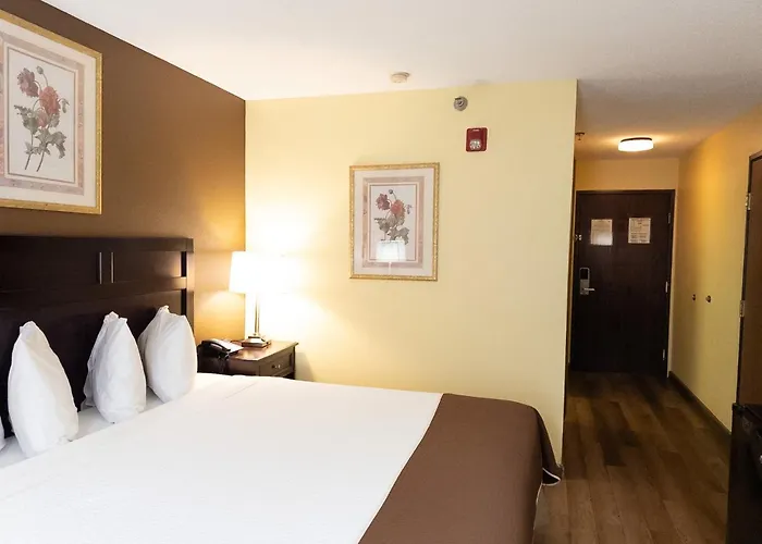 Baymont By Wyndham Battle Creek Downtown