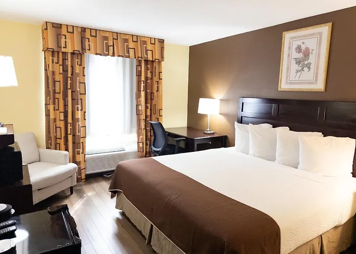 Baymont By Wyndham Battle Creek Downtown