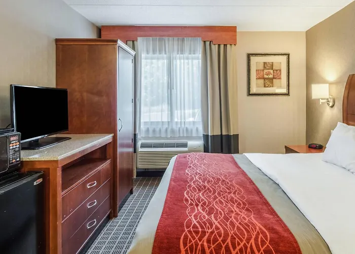 Comfort Inn & Suites West Springfield