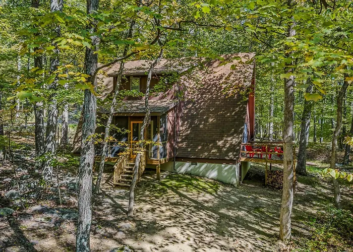 Cozy - Experience It All