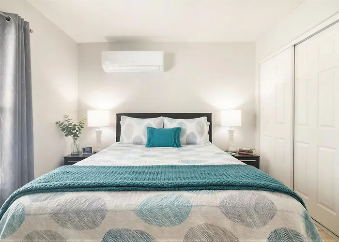 Modern Studio Near Busch Gardens Tampa