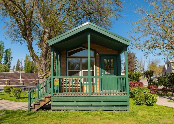 Jellystone Park Tower Park Resort