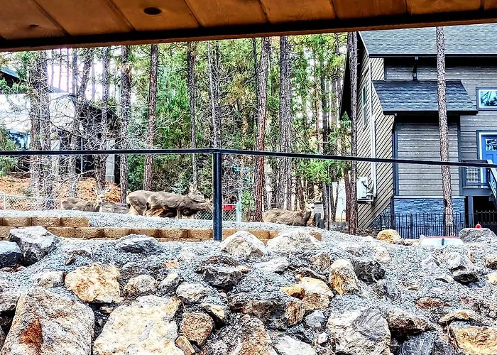 Relax & Recharge In Cozy Pinetop 2Br Retreat