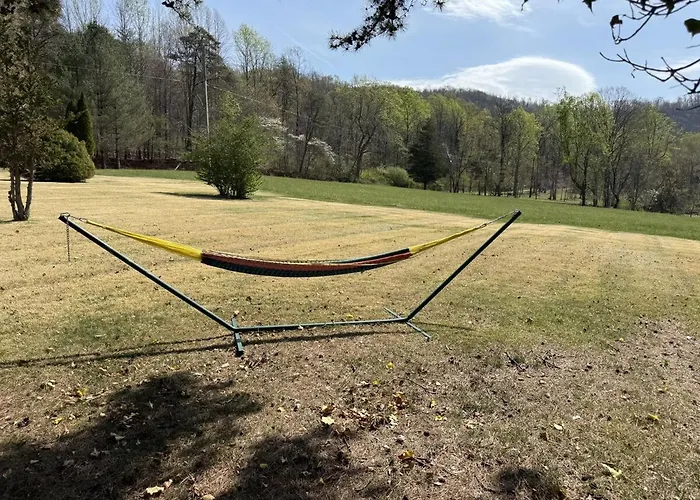 Three Springs Plus