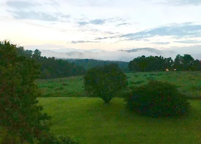 Three Springs Plus