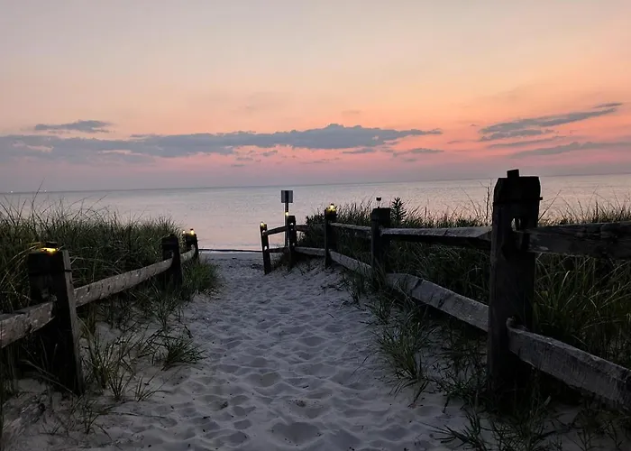 Shell Shack
