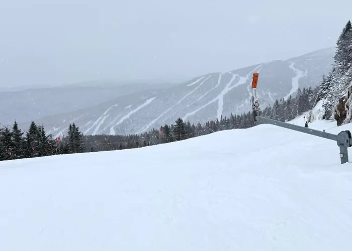 Spruce Peak Resort Luxury 3 Bedrm 2Levelapartment