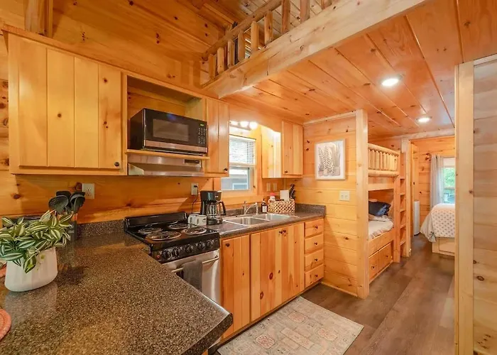 Ani Cabin Tiny Home Bordered By National Forest