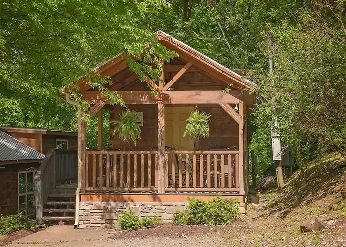 Ani Cabin Tiny Home Bordered By National Forest