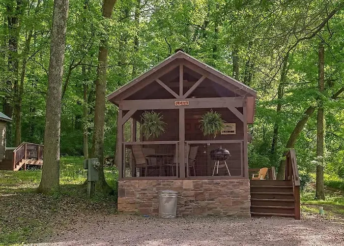 Lena Cabin Wooded Tiny Cabin - Hot Tub