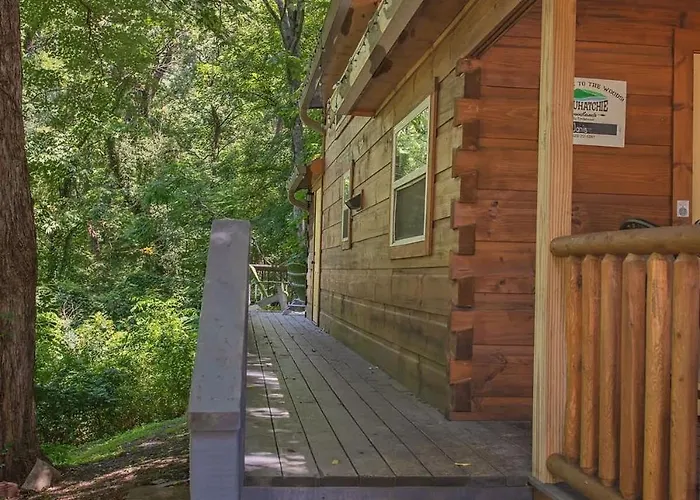 Sophie Cabin National Forest Tiny Cabin
