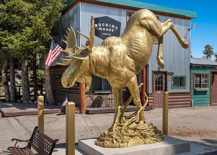 The Bucking Moose #10 Cowboy Cabin