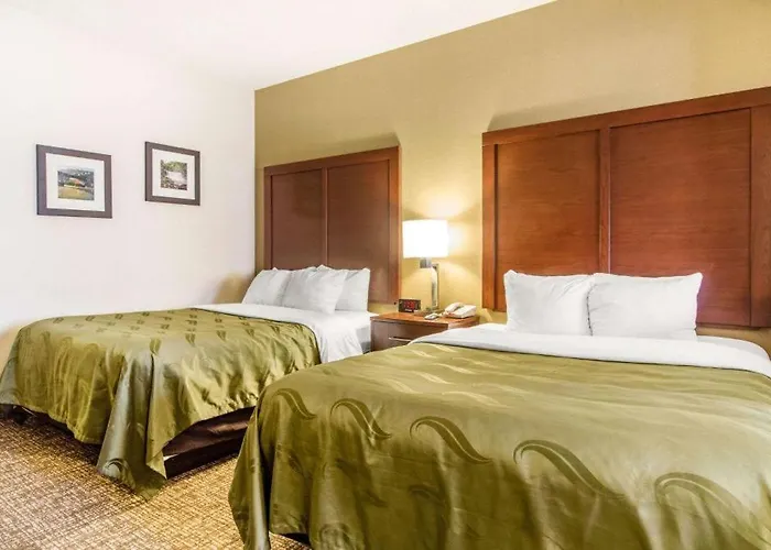 Hotel World Inn And Suites