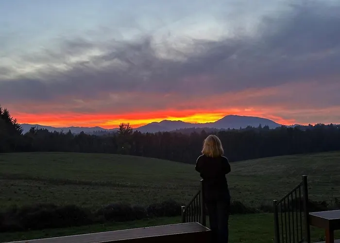 The Lookout- Epic Views, Close To Osu, Quiet