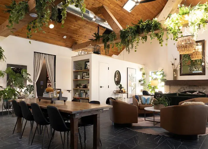 Violet Inn, Lounge & Spa