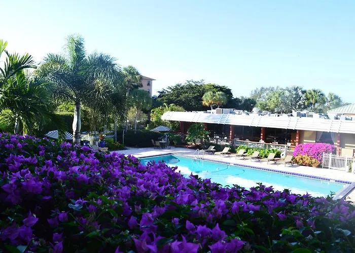 Collins Hotel Naples