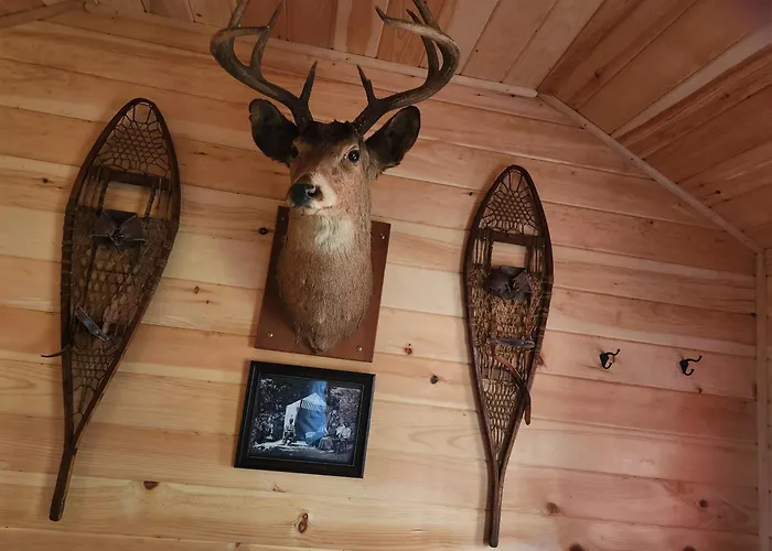 Twin Bucks Cabin