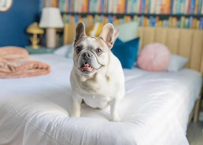 Chic Dog-Friendly Coastal Stay Near Tropic Falls Owa, Beach, Fenced Yard
