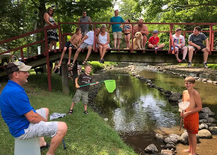 Woodstream Campsite