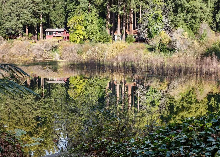 Cozy Riverfront Cabin With Dock Fire Pit & Dogs Ok