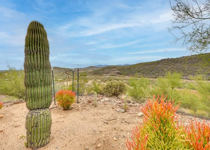 Cowboy Casita In Wickenburg! Equestrian Getaway