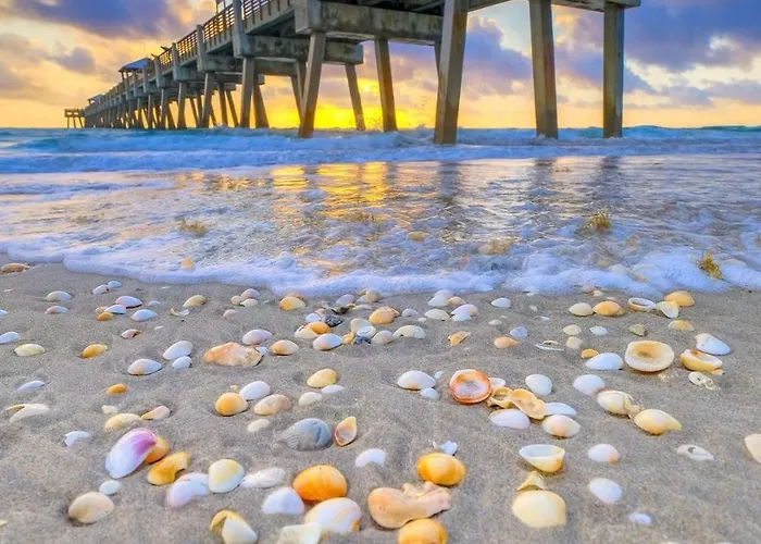 Casa Amor - Steps From Dog Beach In Jupiter