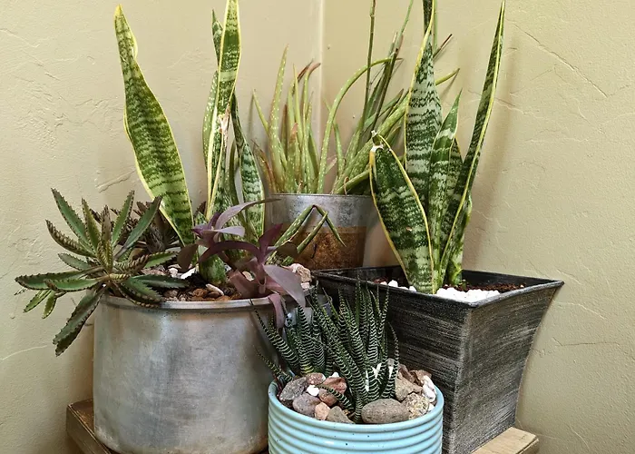 Self-Sufficient Early Birds
